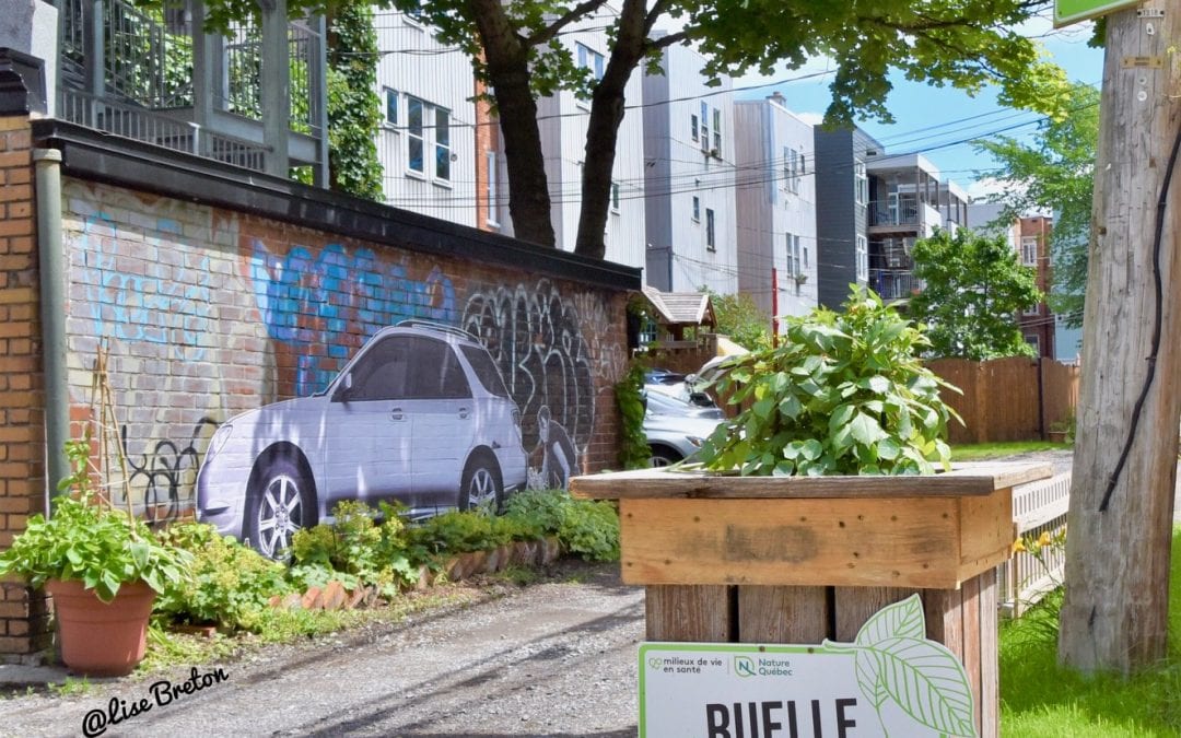 Wartin Pantois expose ses collages muraux dans la ruelle verte Le Grand Peuplier du Quartier Montcalm de Québec!